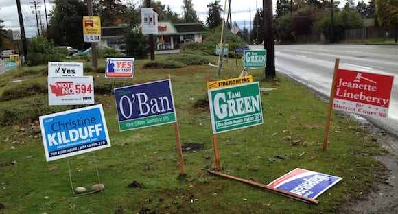 Landscape trashed with political signs.