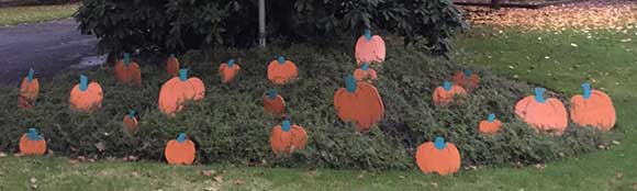 One of our Lakewood neighbors, Dan & Catherine Holder, are building a hand made plywood pumpkin patch, which is a family tradition. They hope to beat the family record of 100 pumpkins.