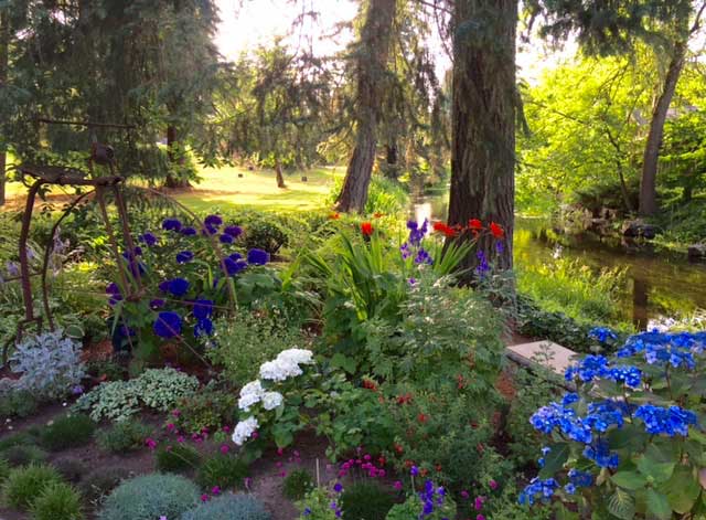Explosion of red, white & blue colors in our USA garden. Happy Fourth of July!