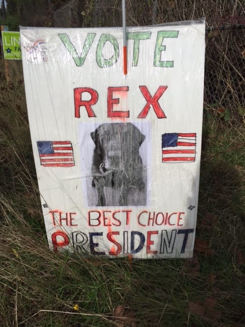 Rex The Best Choice For President (Collectable campaign poster)