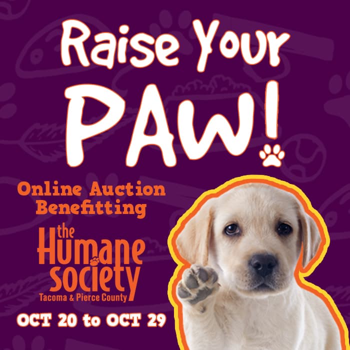 online-auction-to-help-save-thousands-of-homeless-animals-in-pierce