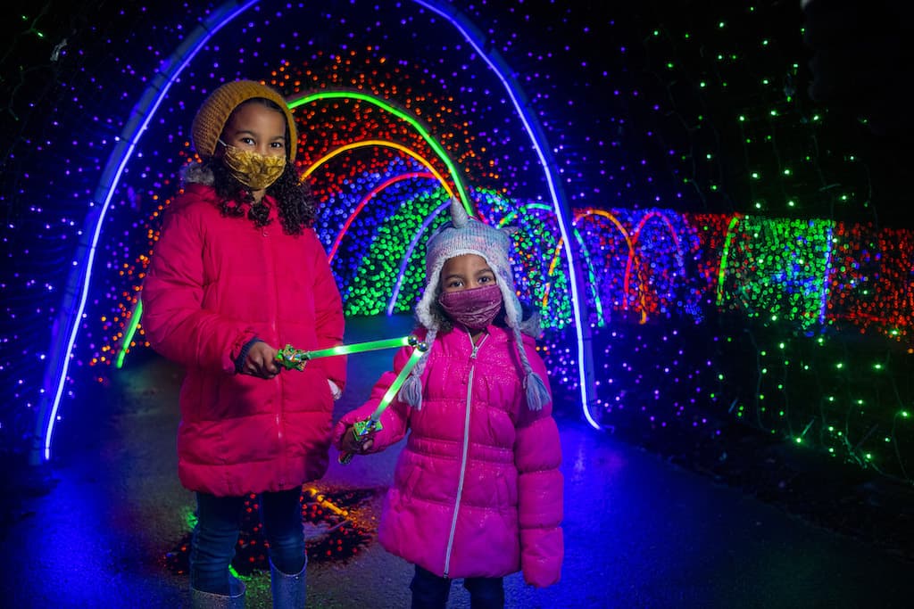 Point Defiance Zoo & Aquarium. Zoolights 2020. (Photo/Katie Cotterill)