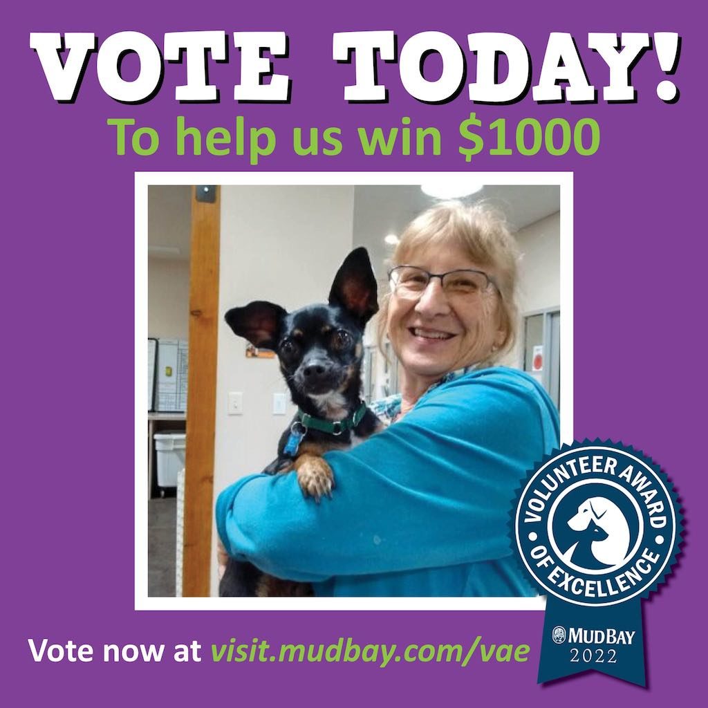 Local Animal Shelter Volunteer Nominated for Volunteer Award of Excellence  – The Suburban Times