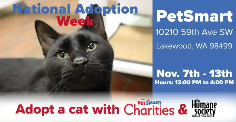 Petsmart Charities National Adoption Weekend - Humane Society of Yuma -  Animal Shelter - Pet Adoption